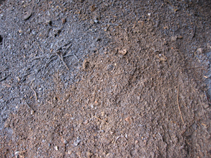 ����鿴������Ϣ